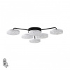 Люстра потолочная LUMION LEDIO 8236/6CL