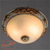 Потолочный светильник Arte Lamp TORTA A7101PL-2WG