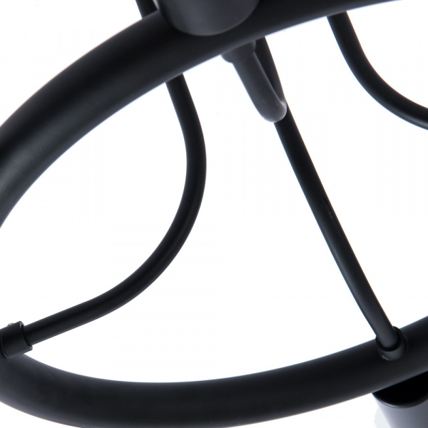 Потолочная люстра Arte Lamp HIGHGARDEN A6063PL-8BK