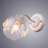 Бра Arte Lamp ALESSANDRA A5004AP-1WG