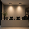 ST LUCE ST608.432.12 Светильник потолочный Черный LED 1*12W 3000K 1 080Lm Ra>90 120° IP20 L120xW120xH55 180- Накладные светильники