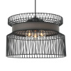 Подвес Favourite Light Korb 2363-2P