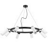 Люстра подвесная Lightstar Rullo LR0183648640