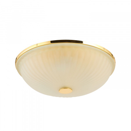 Потолочный светильник F-Promo Costa 2752-3C