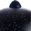 Подвесной светильник Arte Lamp BUCHINO A1630SP-1BK