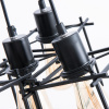 Подвесная люстра Arte Lamp CONWAY A9469SP-5BK