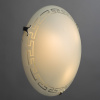Потолочный светильник Arte Lamp ANTICA A4220PL-3CC