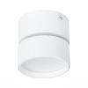 ST LUCE ST651.532.09 Светильник потолочный поворотный Белый LED 1*9W 3000K 720Lm Ra>90 120° IP20 D85xH87 170 Накладные светильники