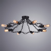 Потолочная люстра Arte Lamp RIVERRUN A9344PL-8BK