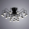 Потолочная люстра Arte Lamp DEXTER A3619PL-24BK