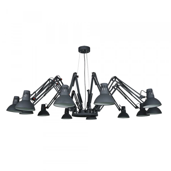 Подвесная люстра Arte Lamp RAGNO A2043SP-12BK