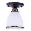 Потолочный светильник Arte Lamp BONITO A9518PL-1BA