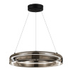 ST LUCE SL6019.333.01 Светильник подвесной ST-Luce Черный/Дымчатый, Белый LED 1*36W 3000K ФОРЕЙ