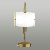 Настольная лампа ODEON LIGHT MODERN 5415/2T