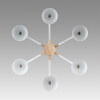 Люстра потолочная LUMION MODERNI 8095/6C
