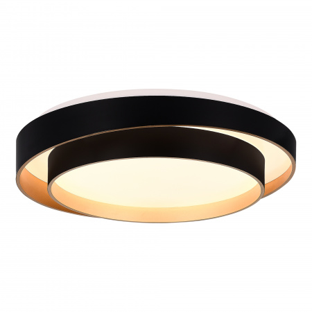 EVOLUCE SLE6009-402-01 Светильник потолочный Черный/Белый LED 1*50W 3000K/4000K/6000K КРОСБИ