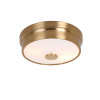 Потолочный светильник Favourite Light Pannikin 2375-2C