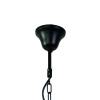 Подвесная люстра Favourite Light Kiara 2057-5P