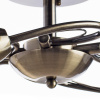Потолочная люстра Arte Lamp INNOCENTE A6056PL-5AB