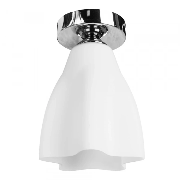 Потолочный светильник Arte Lamp CANZONE A3469PL-1CC