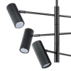 Люстра потолочная Lightstar Roma 718267