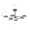EVOLUCE SLE6003-702-06 Светильник потолочный Серый, Черный/Серый LED 6*10W МОНТАНА