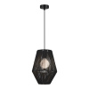 EVOLUCE SLE6025-413-01 Светильник подвесной черный/черный E27 1*40W СЕННА