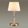 Настольная лампа ODEON LIGHT MODERN 4894/1T
