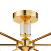 Потолочная люстра Favourite Light Laciness 2612-6P