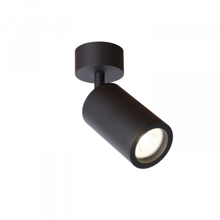 Потолочный светильник Favourite Light Angularis 2805-1U
