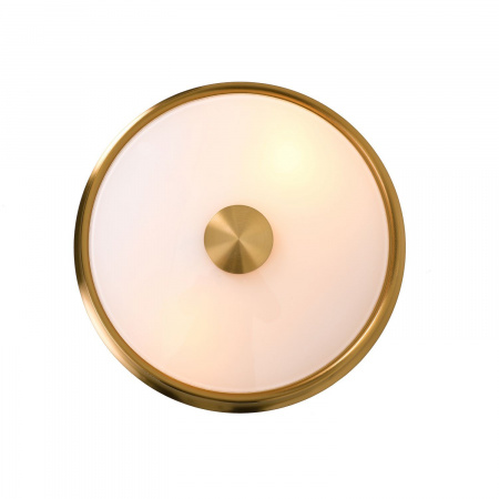 Потолочный светильник Favourite Light Pannikin 2375-2C