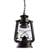 Подвесной светильник Arte Lamp GAMBRINUS A3843SP-1BG