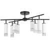 Люстра потолочная Lightstar Rullo LR7283648641