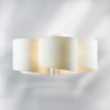 Люстра потолочная Lightstar Pittore 811050