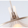 Подвесная люстра Favourite Light Himiko 2551-9P