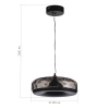 ST LUCE SL6014.403.01 Светильник подвесной ST-Luce Черный/Черный, Дымчатый LED 1*42W 3000K РИПЛ