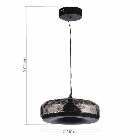 ST LUCE SL6014.403.01 Светильник подвесной ST-Luce Черный/Черный, Дымчатый LED 1*42W 3000K РИПЛ