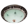 Потолочный светильник Arte Lamp ALTA A3014PL-2AC