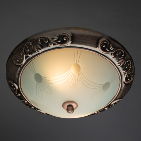 Потолочный светильник Arte Lamp ALTA A3014PL-2AC
