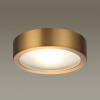 Потолочный светильник ODEON LIGHT HIGHTECH 4342/7CL