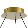 Люстра подвесная Lightstar Rotonda 736161