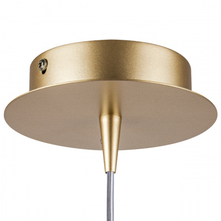 Подвес Lightstar Forma 808013