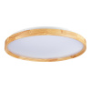 EVOLUCE SLE201382-01 Светильник потолочный Светлое дерево/Белый LED 1*40W 3000K/4000K/6000K ДЕЛИА