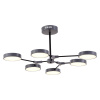 EVOLUCE SLE6003-702-06 Светильник потолочный Серый, Черный/Серый LED 6*10W МОНТАНА