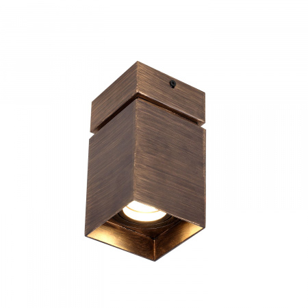 Потолочный светильнк Favourite Light Retro 2794-1U