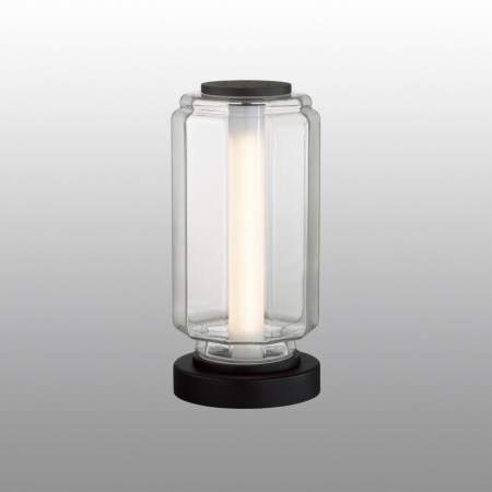 Настольная лампа ODEON LIGHT HIGHTECH 5409/10TL