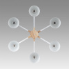 Люстра потолочная LUMION MODERNI 8095/6C