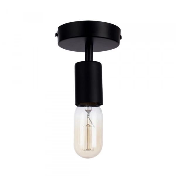 Потолочный светильник Arte Lamp FUORI A9184PL-1BK