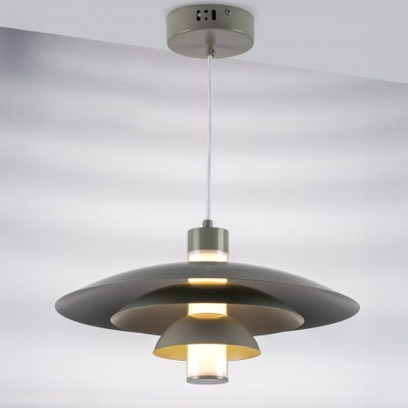 Люстра подвесная Lightstar Erbareo 799019