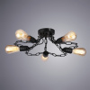 Потолочная люстра Arte Lamp RIVERRUN A9344PL-5BK